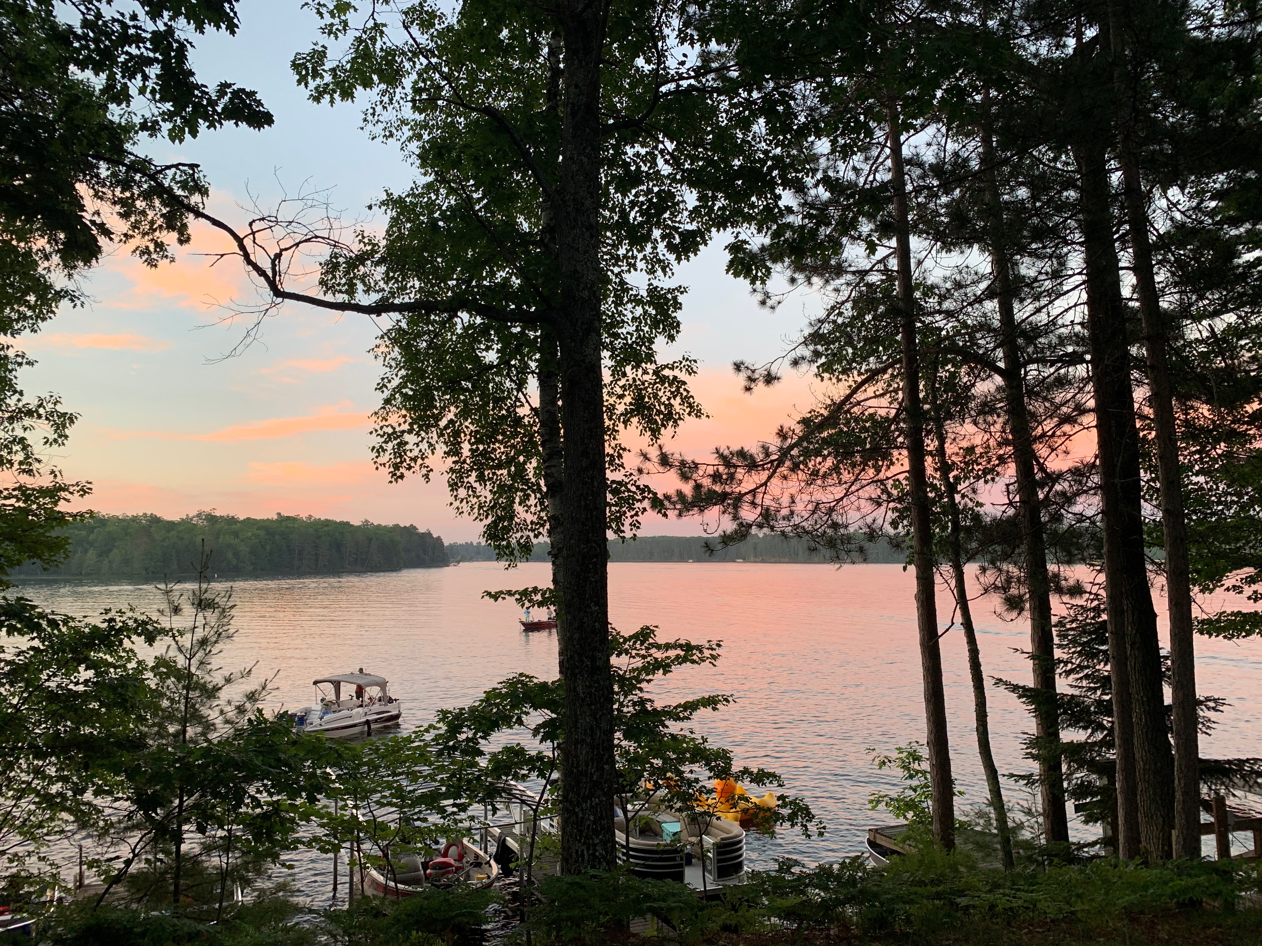 Sunrise Pines